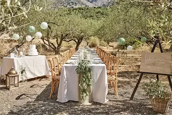 Sage Wedding