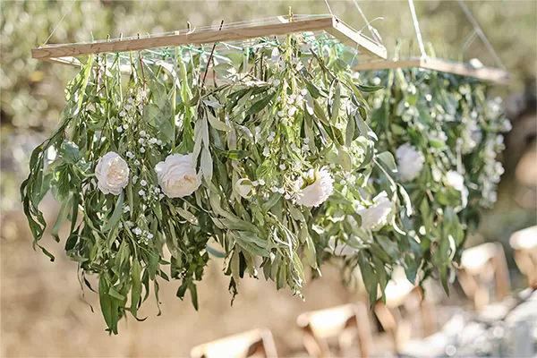 Φύλλα/ Λουλούδια/ Κορμοί