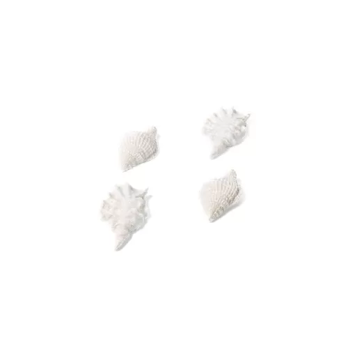 Κοχύλια λευκά ιριδίζοντα διακοσμητικά με αυτοκόλλητο – 4τμχ.