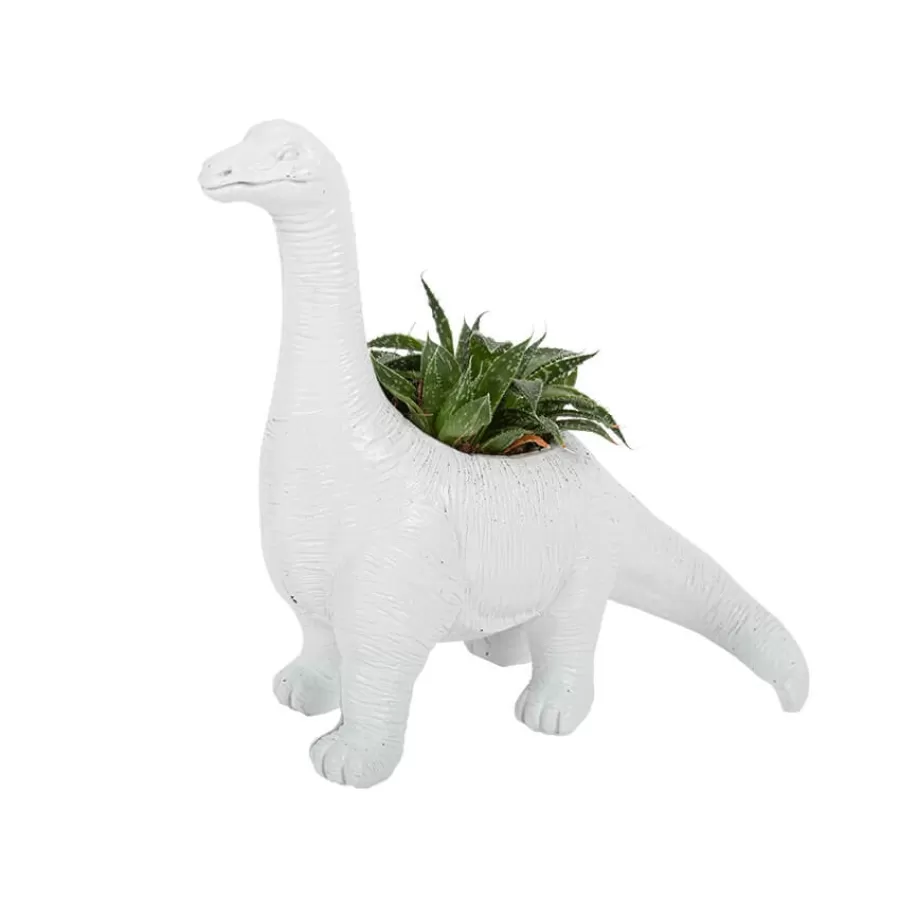 Κασπό Βραχιόσαυρος λευκό