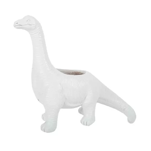 Κασπό Βραχιόσαυρος λευκό