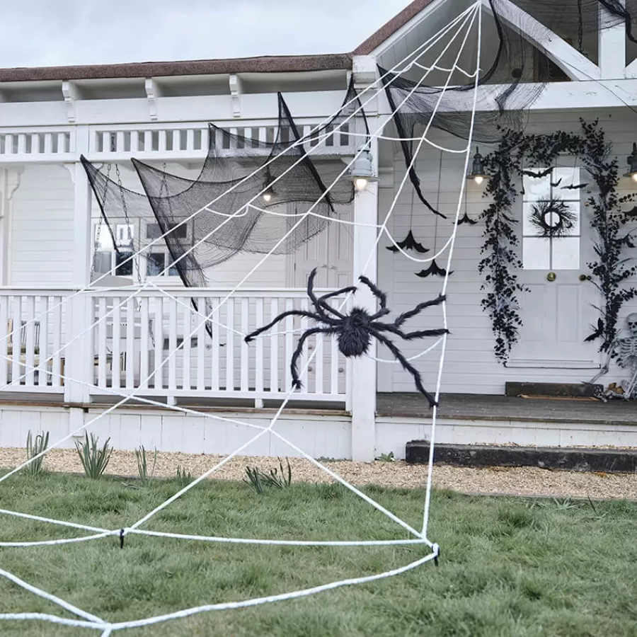 Ιστός αράχνης λευκός με μεγάλη αράχνη για εξωτερικό χώρο