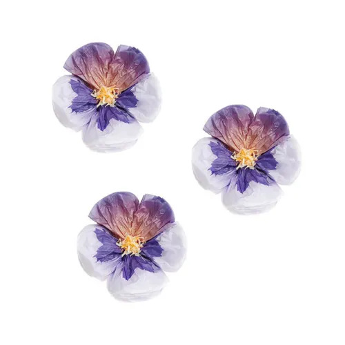 Πανσέδες από χαρτί μικροί - 3τμχ.